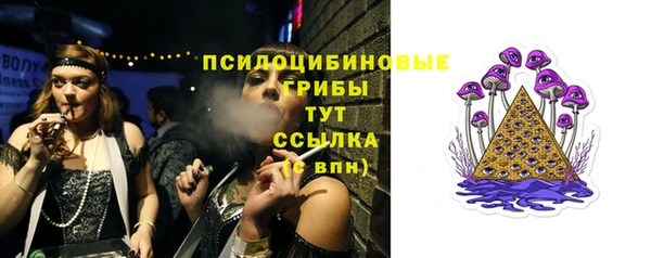 дмт Алексеевка