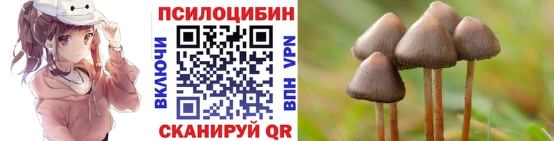 omg tor  наркотики  Арзамас  Псилоцибиновые грибы мицелий 